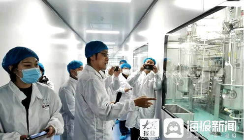 石藥集團(tuán)煙臺(tái)生物醫(yī)藥高科技產(chǎn)業(yè)園 打造全國最大生物醫(yī)藥產(chǎn)業(yè)化基地，融合通信技術(shù)開發(fā)新動(dòng)能