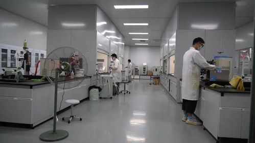 千帆競(jìng)發(fā)浪潮涌 三門以通信技術(shù)開發(fā)為抓手，全力打造接滬融甬先行區(qū)